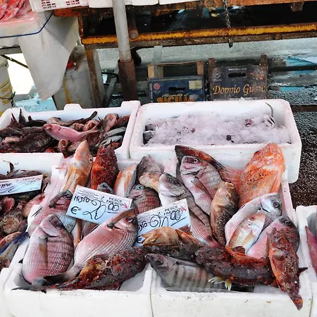 Maryjose B&B 트라파니