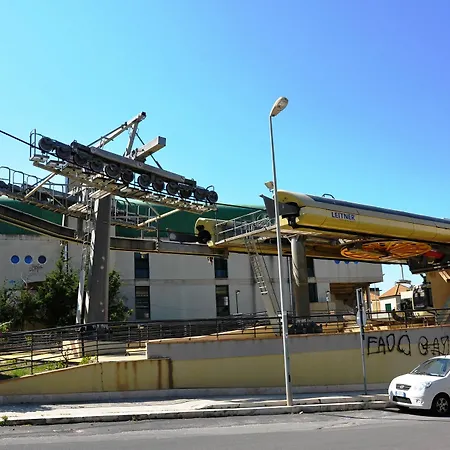 Maryjose Trapani